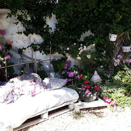 Pico's Homestay